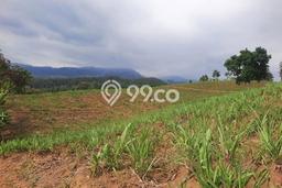 Lahan Investasi Lokasi Jabung Malang SHM Lahan Investasi Lokasi Jabung Malang SHM