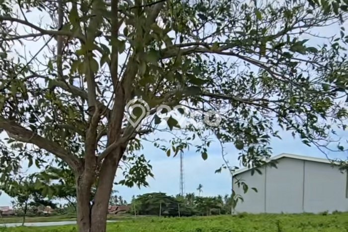 Tanah Dijual di Banjar Seluas 1860m2 Strategis Tanah Dijual di Banjar Seluas 1860m2 Strategis