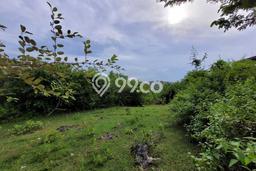 Tanah Dijual di Badung Seluas 1000m2 Strategis Tanah Dijual di Badung Seluas 1000m2 Strategis