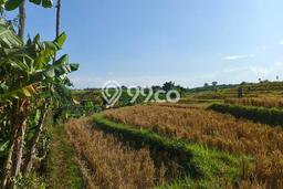 Tanah Dijual Area Strategis di Canggu Badung 22m2 Tanah Dijual Area Strategis di Canggu Badung 22m2