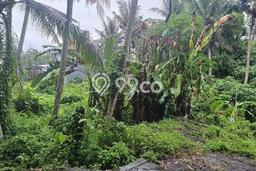 Lahan Dijual Lokasi Blahbatuh, Gianyar dengan Luas Tanah 1697m2 dan Status SHM Lahan Dijual Lokasi Blahbatuh, Gianyar dengan Luas Tanah 1697m2 dan Status SHM