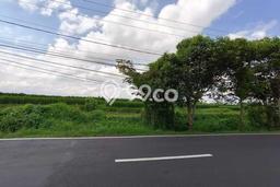 Kavling Tanah untuk Dijual di Blahkiuh, Badung, Luas 2100m2 Kavling Tanah untuk Dijual di Blahkiuh, Badung, Luas 2100m2