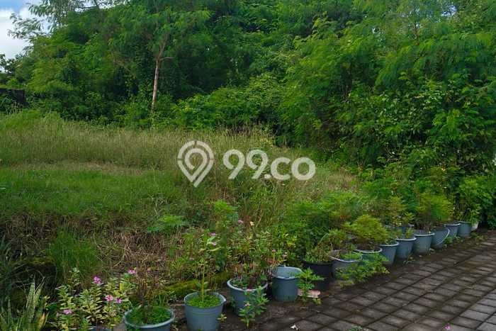 Kavling Tanah di Denpasar Utara Dijual Luas 205m2 Legalitas - Kavling Tanah di Denpasar Utara Dijual Luas 205m2 Legalitas -
