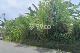 Kavling Tanah untuk Dijual di canggu, Badung, Luas 11600m2 Kavling Tanah untuk Dijual di canggu, Badung, Luas 11600m2