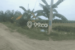 Dijual Tanah di Percut Sei Tuan Deli Serdang Luas 3000m2 - Dijual Tanah di Percut Sei Tuan Deli Serdang Luas 3000m2 -