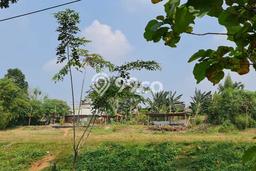 Tanah Investasi Dijual di Tangerang Punya Luas 1180m2 Tanah Investasi Dijual di Tangerang Punya Luas 1180m2