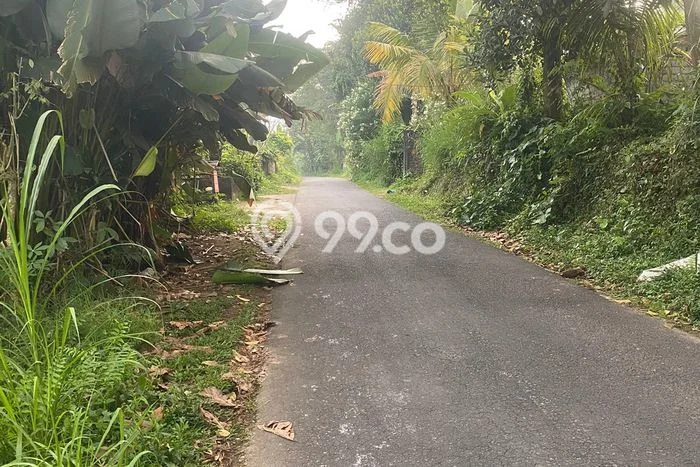 Tanah Kavling Dijual di Gianyar dengan Spesifikasi 2000m2 Tanah Kavling Dijual di Gianyar dengan Spesifikasi 2000m2