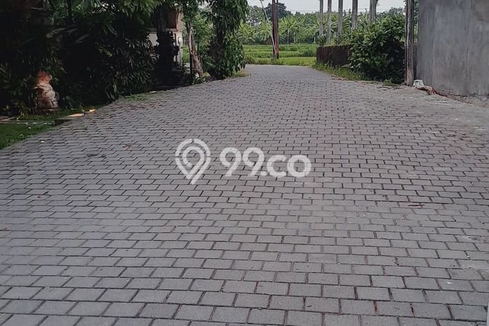 Tanah Dijual Area Strategis di Ketewel Gianyar 1500m2 Tanah Dijual Area Strategis di Ketewel Gianyar 1500m2