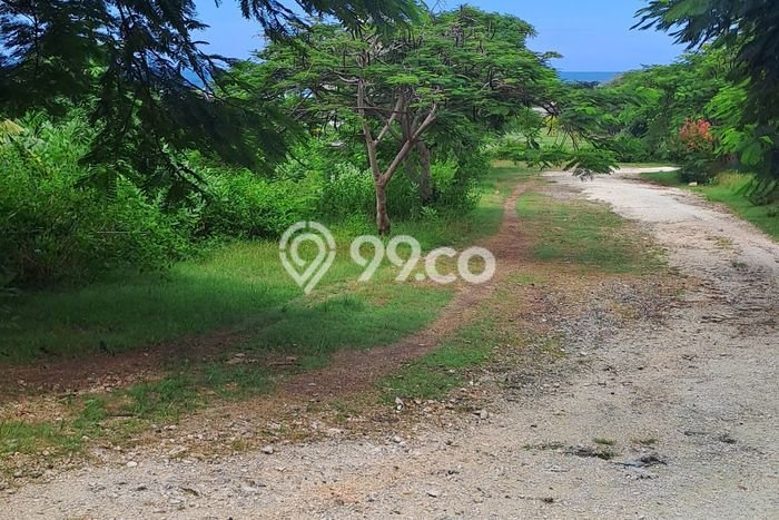 Tanah Kavling Dijual di Badung dengan Spesifikasi 1100m2 Tanah Kavling Dijual di Badung dengan Spesifikasi 1100m2