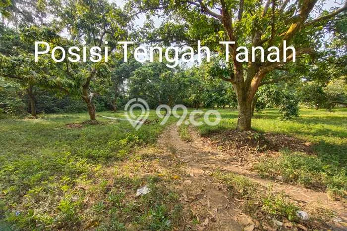 Tanah Dijual Lokasi Karawang Barat, Karawang dengan Luas Tanah 16500m2 dan Status SHM Tanah Dijual Lokasi Karawang Barat, Karawang dengan Luas Tanah 16500m2 dan Status SHM