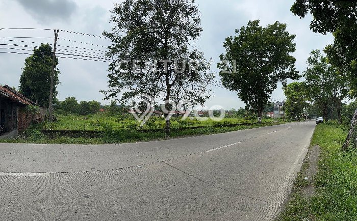 Tanah di Dukuhwaru, Tegal Luas 7043m2 Dijual Segera Tanah di Dukuhwaru, Tegal Luas 7043m2 Dijual Segera