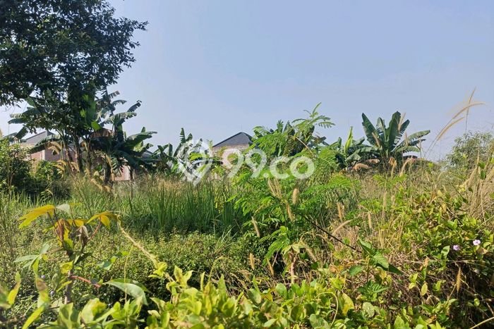 Tanah di Sawangan, Depok Luas 1000m2 Dijual Segera Tanah di Sawangan, Depok Luas 1000m2 Dijual Segera