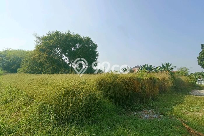 Tanah di Sawangan, Depok Luas 1000m2 Dijual Segera Tanah di Sawangan, Depok Luas 1000m2 Dijual Segera