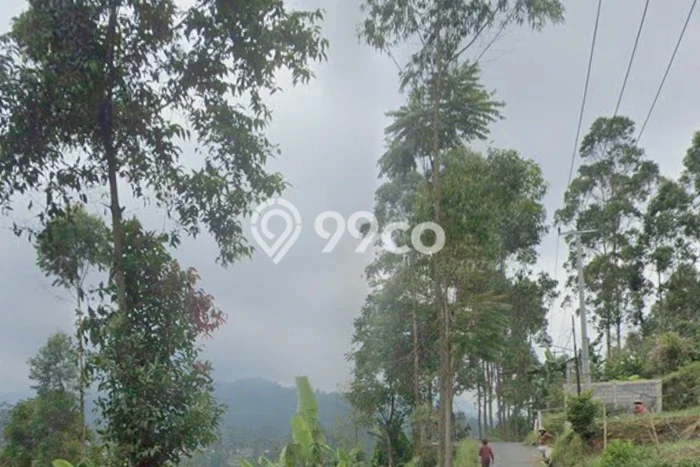 Untuk Dijual Tanah di Ciwidey Bandung Luas 1872m2 SHM Untuk Dijual Tanah di Ciwidey Bandung Luas 1872m2 SHM