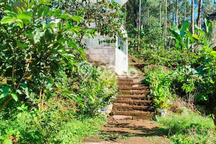 Untuk Dijual Tanah di Ciwidey Bandung Luas 1872m2 SHM Untuk Dijual Tanah di Ciwidey Bandung Luas 1872m2 SHM