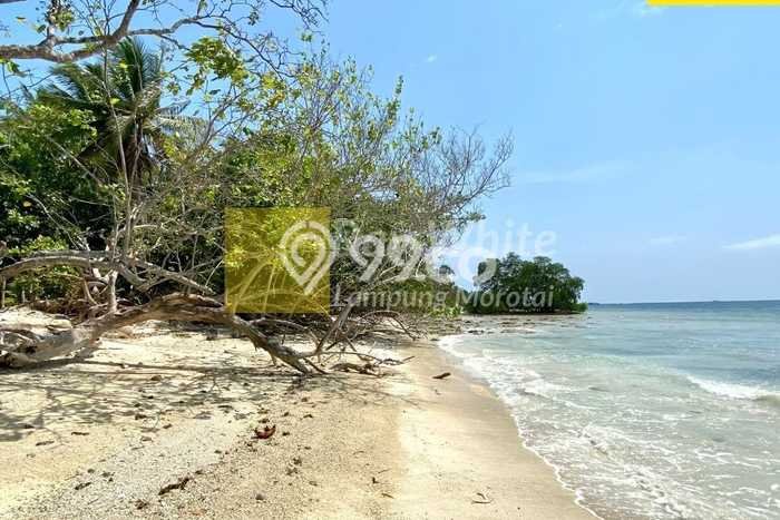 Kavling Tanah Dijual di Punduh Pidada, Pesawaran, Luas 79360m2 Area Strategis Kavling Tanah Dijual di Punduh Pidada, Pesawaran, Luas 79360m2 Area Strategis