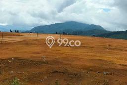 Jarang Ada! Tanah di Cikidang Punya Luas 62000m2 SHM Jarang Ada! Tanah di Cikidang Punya Luas 62000m2 SHM