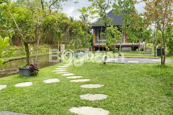 Hunian Elit LB 500m2 Siap Pakai Desain Elegan di Apuan, Tabanan Hunian Elit LB 500m2 Siap Pakai Desain Elegan di Apuan, Tabanan