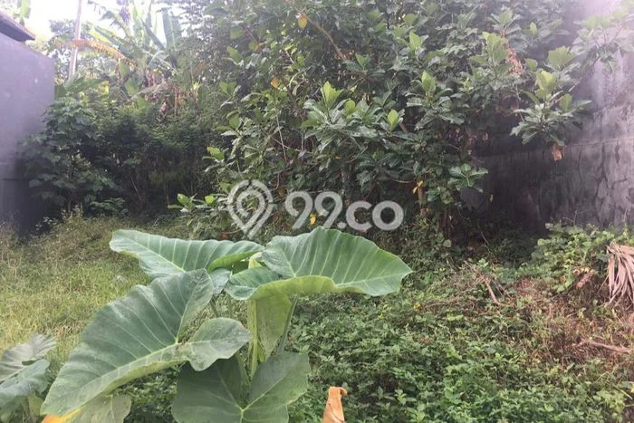 Tanah Dijual Area Strategis di Dauhpeken Tabanan 180m2 Tanah Dijual Area Strategis di Dauhpeken Tabanan 180m2
