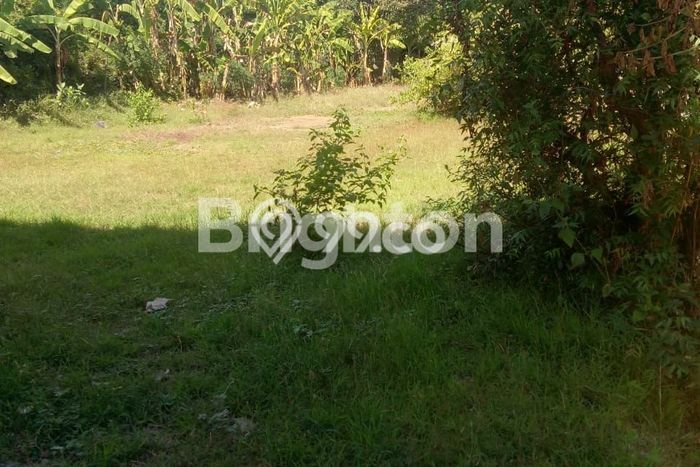Tanah Dijual Lokasi Kubutambahan, Buleleng Luas 500m2 Legalitas Aman Tanah Dijual Lokasi Kubutambahan, Buleleng Luas 500m2 Legalitas Aman