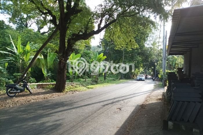 Tanah Lokasi Potensial Kawasan Busungbiu, Luas 200m2m², Dekat ke Fasilitas Tanah Lokasi Potensial Kawasan Busungbiu, Luas 200m2m², Dekat ke Fasilitas