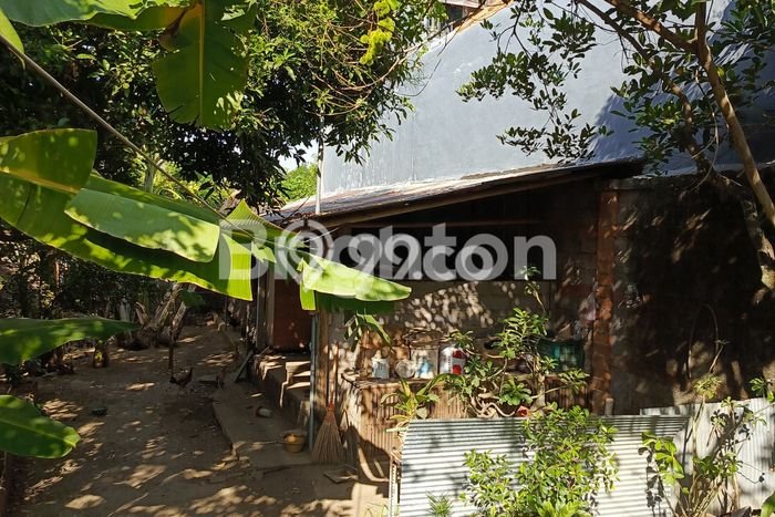 Tanah di Sukasada, Buleleng Luas 200m2 Dijual Segera Tanah di Sukasada, Buleleng Luas 200m2 Dijual Segera