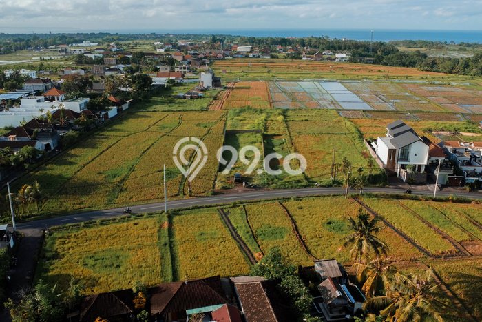 Tanah Dijual di Tabanan Seluas 700m2 Strategis Tanah Dijual di Tabanan Seluas 700m2 Strategis