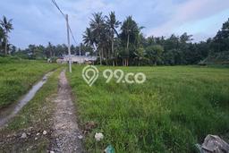 Tanah Dijual Lokasi Ubud, Gianyar dengan Luas Tanah 500m2 dan Status SHM Tanah Dijual Lokasi Ubud, Gianyar dengan Luas Tanah 500m2 dan Status SHM