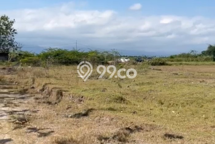 Kavling Tanah di Negara Dijual Luas 1000m2 Legalitas - Kavling Tanah di Negara Dijual Luas 1000m2 Legalitas -