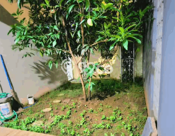 Rumah Luas Asri 2 KT Siap Pakai di Bojong Sari Depok Rumah Luas Asri 2 KT Siap Pakai di Bojong Sari Depok