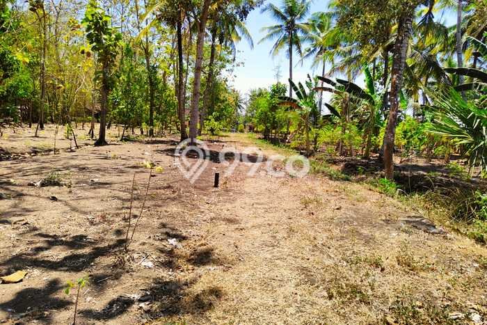 Kavling Tanah di Pengasih Dijual Luas 311m2 Legalitas SHM Kavling Tanah di Pengasih Dijual Luas 311m2 Legalitas SHM