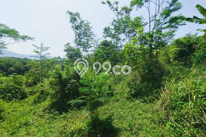 Tanah Kavling di Mande Dijual dengan Luas 8600m2 Tanah Kavling di Mande Dijual dengan Luas 8600m2