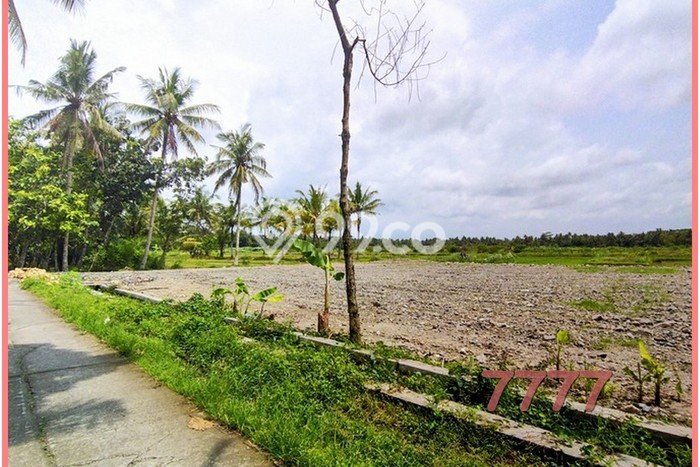 Kavling Cocok Investasi, Jogja Barat Dekat Lapangan Tawangsari Kavling Cocok Investasi, Jogja Barat Dekat Lapangan Tawangsari