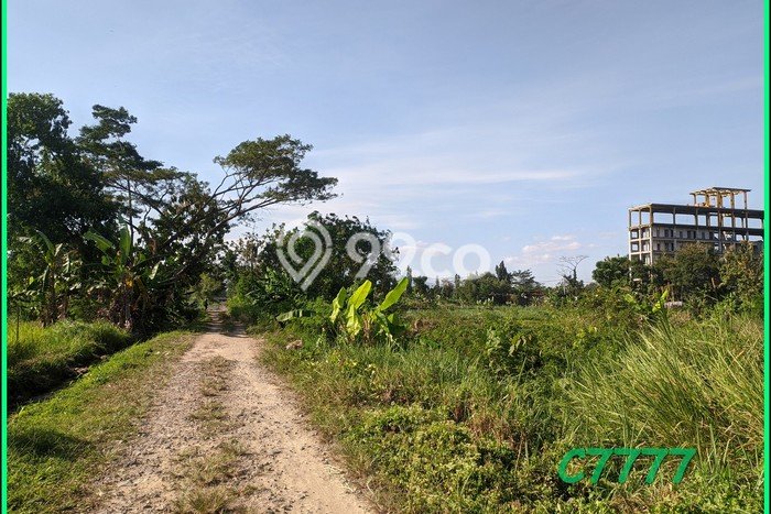 Tanah Dalam Ringroad Utara, Dekat Rs Ugm Yogya, Pas Bangun Kost Tanah Dalam Ringroad Utara, Dekat Rs Ugm Yogya, Pas Bangun Kost