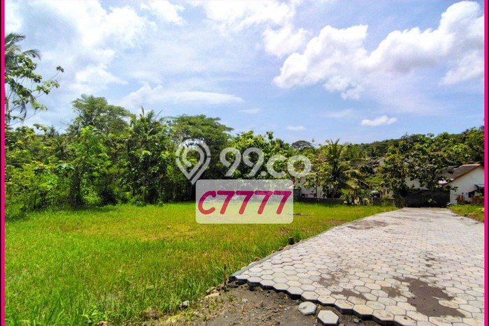 Tanah Murah Jogja Barat, Dekat Polsek Panjatan, SHM Ready Tanah Murah Jogja Barat, Dekat Polsek Panjatan, SHM Ready
