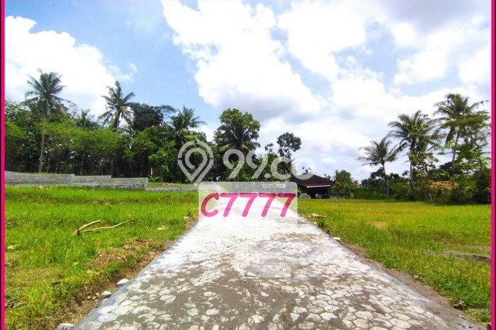 Tanah Murah Jogja Barat, Dekat Polsek Panjatan, SHM Ready Tanah Murah Jogja Barat, Dekat Polsek Panjatan, SHM Ready