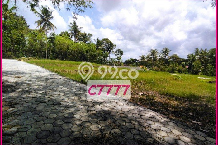 Tanah Murah Jogja Barat, Dekat Polsek Panjatan, SHM Ready Tanah Murah Jogja Barat, Dekat Polsek Panjatan, SHM Ready