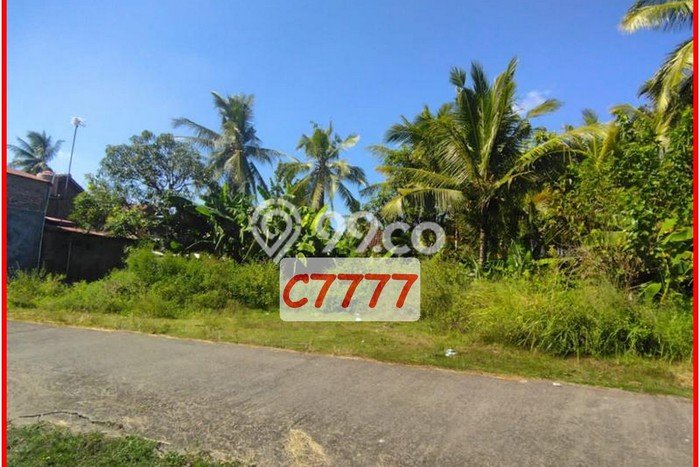 Dijual Tanah Kavling Jogja Barat, Dekat Pengadilan Agama Wates Dijual Tanah Kavling Jogja Barat, Dekat Pengadilan Agama Wates