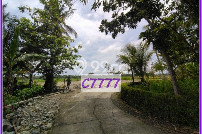 Jual Tanah Kavling Dekat Balai Desa Tawangsari, Kulonprogo Jual Tanah Kavling Dekat Balai Desa Tawangsari, Kulonprogo