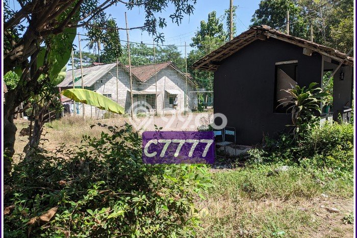 Tanah Umbulmartani Mangku Aspal, Dekat Dongeng Kopi Sleman Tanah Umbulmartani Mangku Aspal, Dekat Dongeng Kopi Sleman
