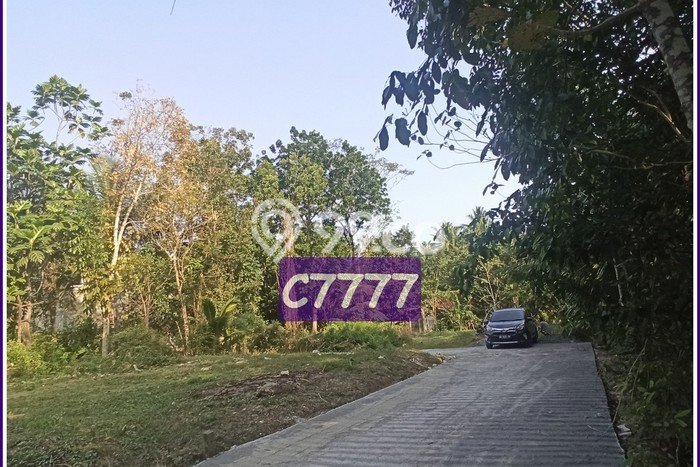 Tanah Panjatan Dekat Stadion Cangkiring Kulonprogo, Siap Akad Tanah Panjatan Dekat Stadion Cangkiring Kulonprogo, Siap Akad