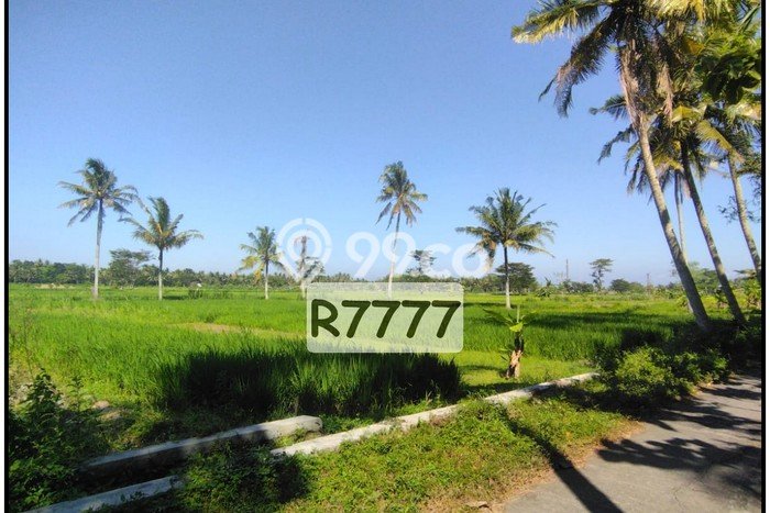 Tanah Murah Dijual Dekat Kantor Pajak Wates, Jogja Barat Tanah Murah Dijual Dekat Kantor Pajak Wates, Jogja Barat