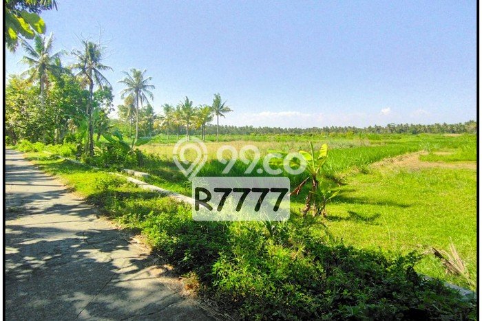 Tanah Murah Dijual Dekat Kantor Pajak Wates, Jogja Barat Tanah Murah Dijual Dekat Kantor Pajak Wates, Jogja Barat