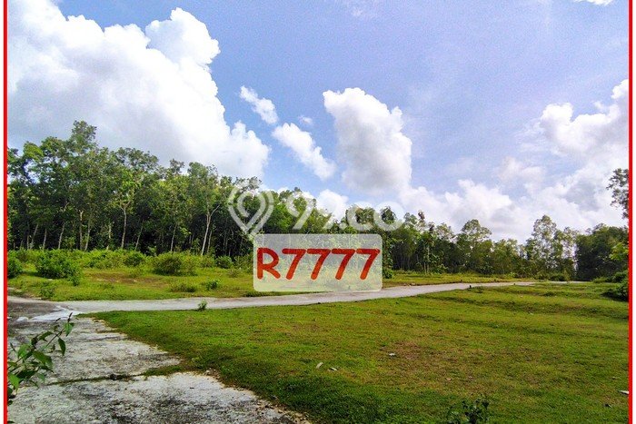 Legalitas Ready, Jual Tanah Murah Jogja Dekat Ke Polsek Panjatan Legalitas Ready, Jual Tanah Murah Jogja Dekat Ke Polsek Panjatan