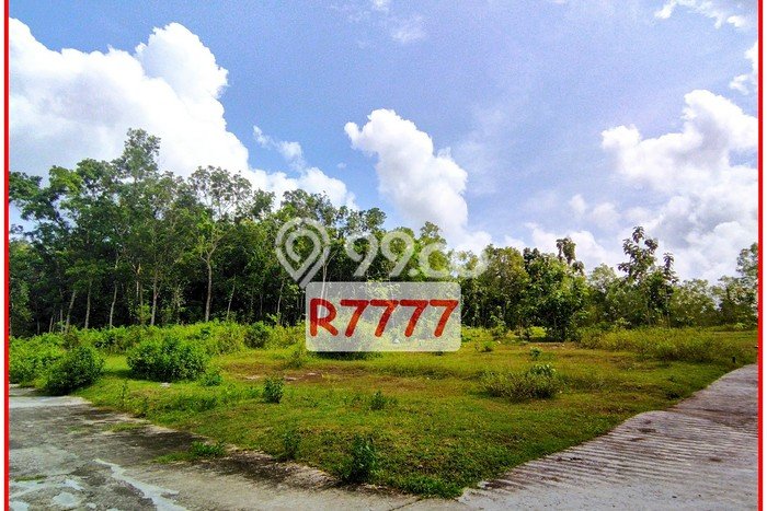 Legalitas Ready, Jual Tanah Murah Jogja Dekat Ke Polsek Panjatan Legalitas Ready, Jual Tanah Murah Jogja Dekat Ke Polsek Panjatan
