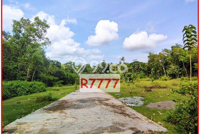 Legalitas Ready, Jual Tanah Murah Jogja Dekat Ke Polsek Panjatan Legalitas Ready, Jual Tanah Murah Jogja Dekat Ke Polsek Panjatan