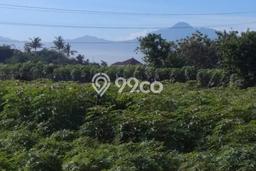 Dijual Tanah Lokasi Tanah Sareal, Bogor Seluas 9198m2 Dijual Tanah Lokasi Tanah Sareal, Bogor Seluas 9198m2