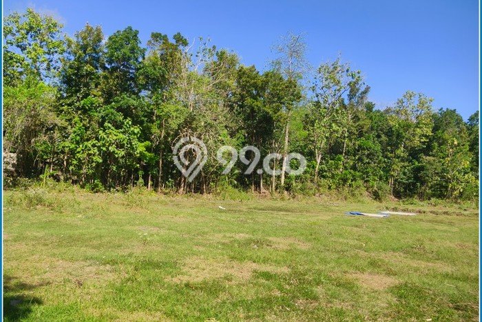Untuk Dijual Tanah 143m2 di Plered, Bantul Untuk Dijual Tanah 143m2 di Plered, Bantul