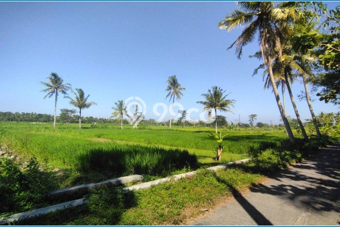 Lahan Kosong Dijual di Pengasih, Kulon Progo, Luas 144m2 Area Strategis Lahan Kosong Dijual di Pengasih, Kulon Progo, Luas 144m2 Area Strategis