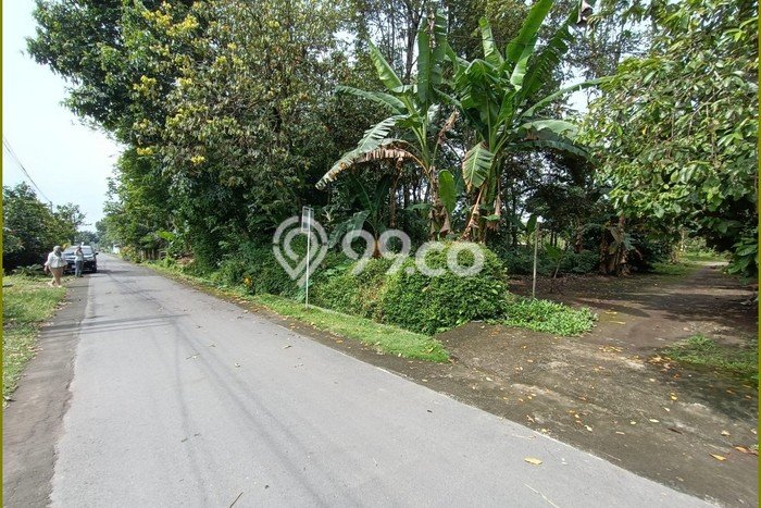 Tanah Kavling untuk Dijual di Kalasan Sleman 109m2 Tanah Kavling untuk Dijual di Kalasan Sleman 109m2